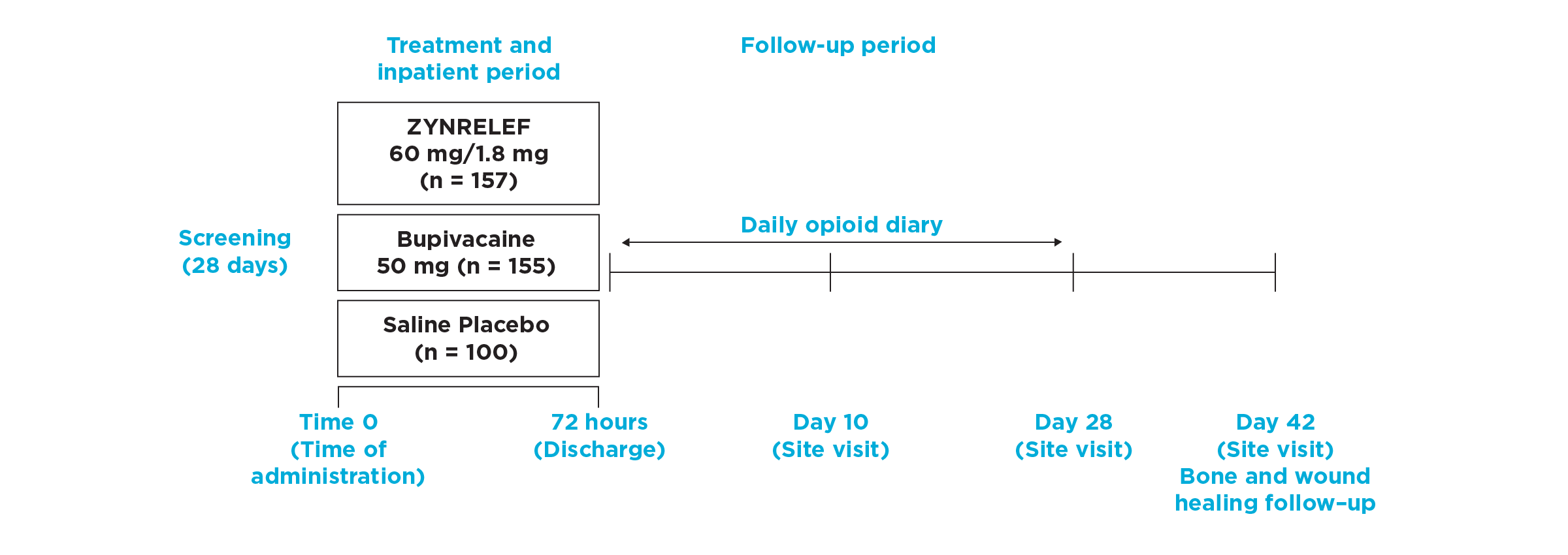 Timeline overview of EPOCH 1 Bunionectomy study design from screening through follow up.