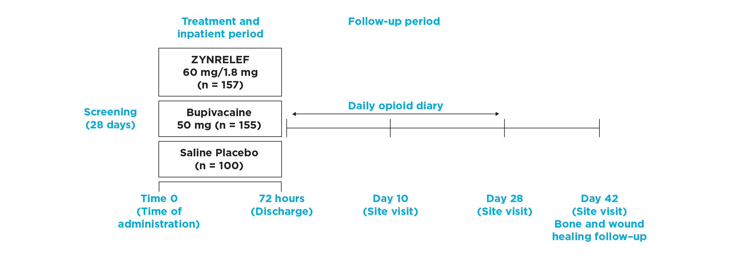 Timeline overview of EPOCH 1 Bunionectomy study design from screening through follow up.